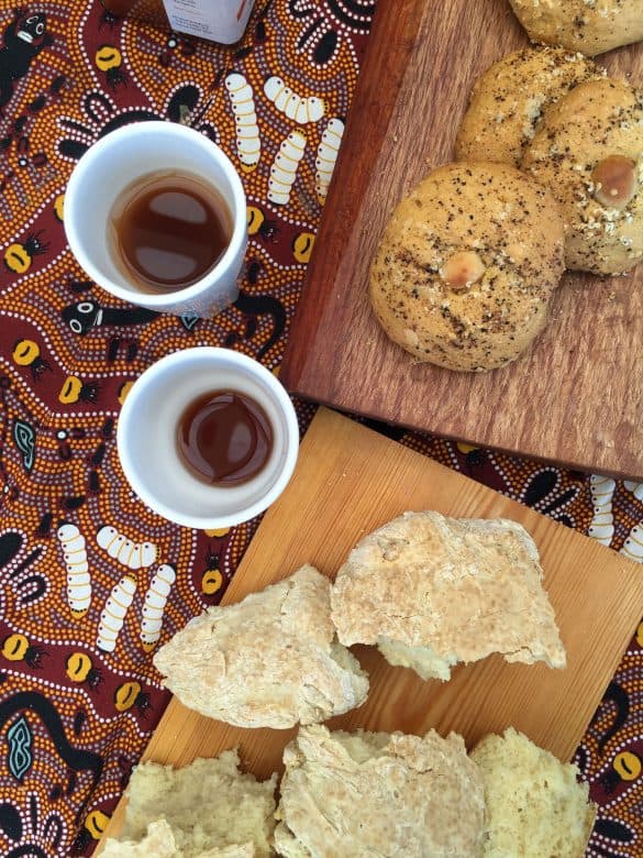 Bush tucker with Indigenous Cultural Experiences