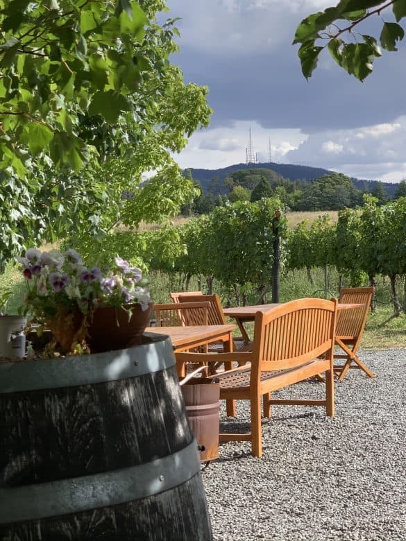 Dindima Wines