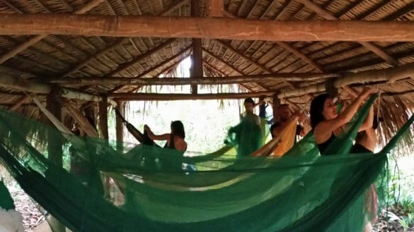 TTW Amazon Camp